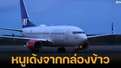 Scandinavian Airlines (SAS) has said one of its flights had to make an unscheduled landing after a mouse scurried out of a passenger&#039;s in-flight meal on Wednesday.