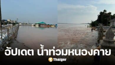 ติดตาม 'น้ำท่วมหนองคาย' แม่น้ำโขงลดเร็วกว่าค่าเฉลี่ย คาดดีขึ้นต่อเนื่อง