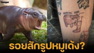 นักท่องเที่ยวชาวต่างชาติ ชื่นชอบหมูเด้ง นำรูปฮิปฌปแคระไปสัก แต่ถูกพี่เลี้ยงเฉลยว่าคือหมูตุ๋น