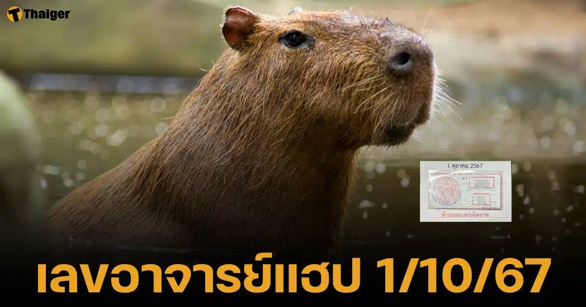 เลขเด็ด หวยรัฐบาลไทย งวด 1 ตุลาคม 2567 จากอาจารย์แฮป