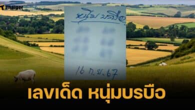 เลขเด็ด หนุ่มบรบือ 16 ก.ย. 67 โพยหวยเลขคู่ 6-2 มาเต็ง