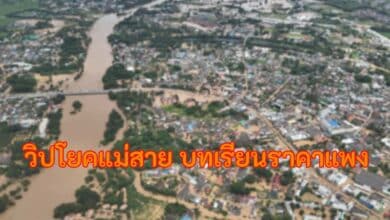 วิปโยคแม่สาย ลทเรียนราคาแพง