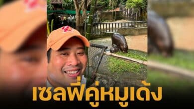 ท่านอ้น เยี่ยม "หมูเด้ง" ฮิปโปแคระซุปเปอร์สตาร์สวนสัตว์เปิดเขาเขียว พร้อมโพสต์ภาพเซลฟี่คู่ ชาวเน็ตแห่แซวโพสต์เฟซฯ อ้อน "ใคร ๆ ก็โดนน้องตก" พร้อมชมความน่ารักของสัตว์อื่น ๆ อีกเพียบ