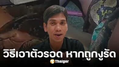 'นิค อสรพิษวิทยา' แนะวิธีเอาตัวรอด หากถูกงูรัด โยงข่าวดัง งูเหลือมรัดป้า