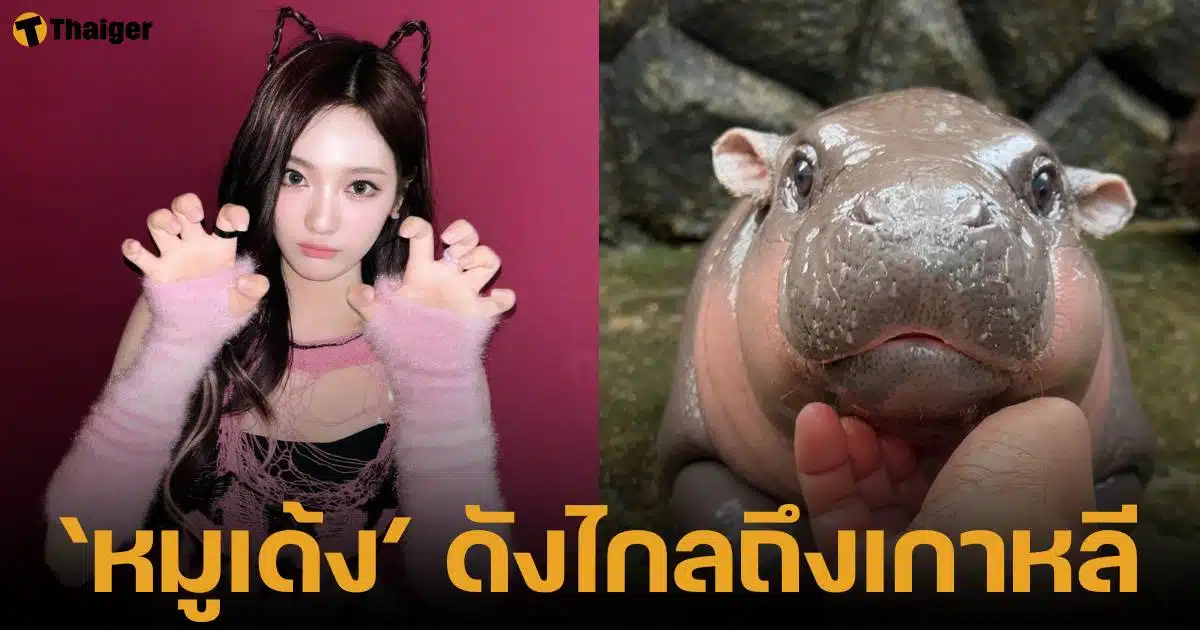 หนิงหนิง สมาชิกวงเอสป้า แชร์รูปหมูเด้ง