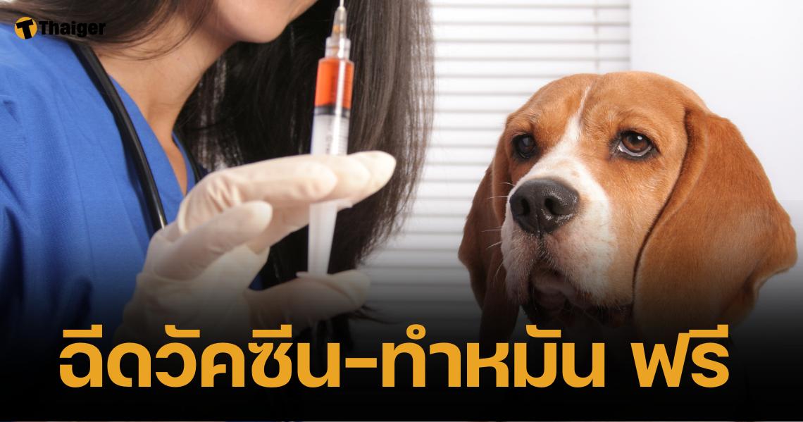 เปิดพิกัด "ฉีดวัคซีนพิษสุนัขบ้า-ทำหมัน" หมาแมวฟรี ก.ย-ต.ค. นี้