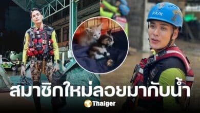 เปิดภาพสมาชิกใหม่ 'แทค ภรันยู' ทั้ง 4 ตัว ลอยมาพร้อมน้ำท่วมเชียงราย