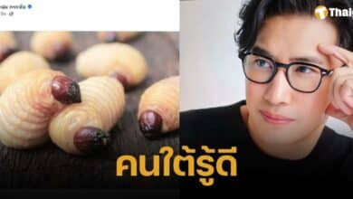 เปิดที่มา ด้วงสาคู ที่ หนุ่ม กรรชัย โพสต์ สื่อถึง จคนดังประตูน้ำ คนใต้เขารู้ดีเรื่องนี้