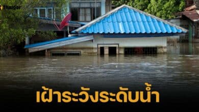 กรมชลประทาน เตือนภัย 7 โซนริมแม่น้ำปิง เสี่ยงระดับน้ำสูง 5 เมตรคืนนี้