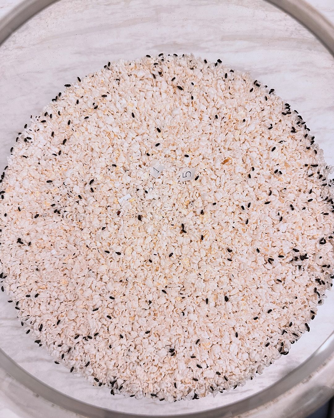 เลขเด็ด น้องกระดิ่ง 16 9 67