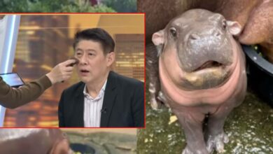 สรยุทธ์เด้ง ไวรัลหมูเด้ง