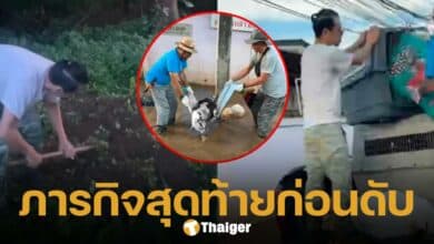 ภารกิจสุดท้ายของ เอส เจ้าหน้ากู้ภัยจาก มูลนิธิ ดิ อาร์ค ช่วยฝังศพพิตบูล ก่อนเสียชีวิตกะทันหัน