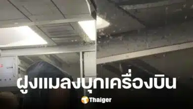 เปิดคลิป ฝูงแมลงปริศนา บุกห้องโดยสาร บินว่อนตั้งแต่เครื่องขึ้น ยันลงจอด