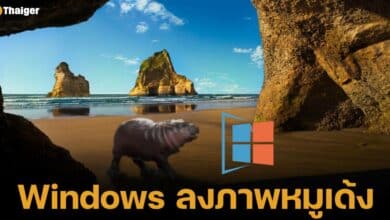 แอคเคาน์เป็นทางการของ วินโดว์ โพสต์ภาพ หมูเด้ง ฮิปโปแคระจากสวนสัตว์เปิดเขาเขียว