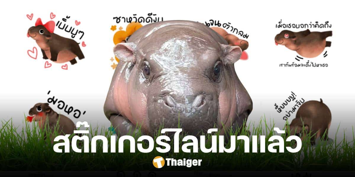 เกินห้ามใจ สติ๊กเกอร์ไลน์ 'หมูเด้ง' เปิดให้ซื้อแล้ววันนี้ รายได้นำไปสนับสนุนสวนสัตว์