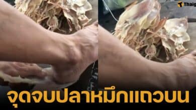 คลิปไวรัลใช้เท้ารีดปลาหมึกตากแห้ง ในเวียดนาม เห็นแล้วสยอง อวสานกับแกล้มยอดนิยม