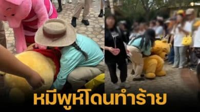 หมีพูห์โดนตบหัว ล้มเจ็บ คลิปไวรัลเดือด ชาวเน็ตจี้เอาผิดมนุษย์ลุง