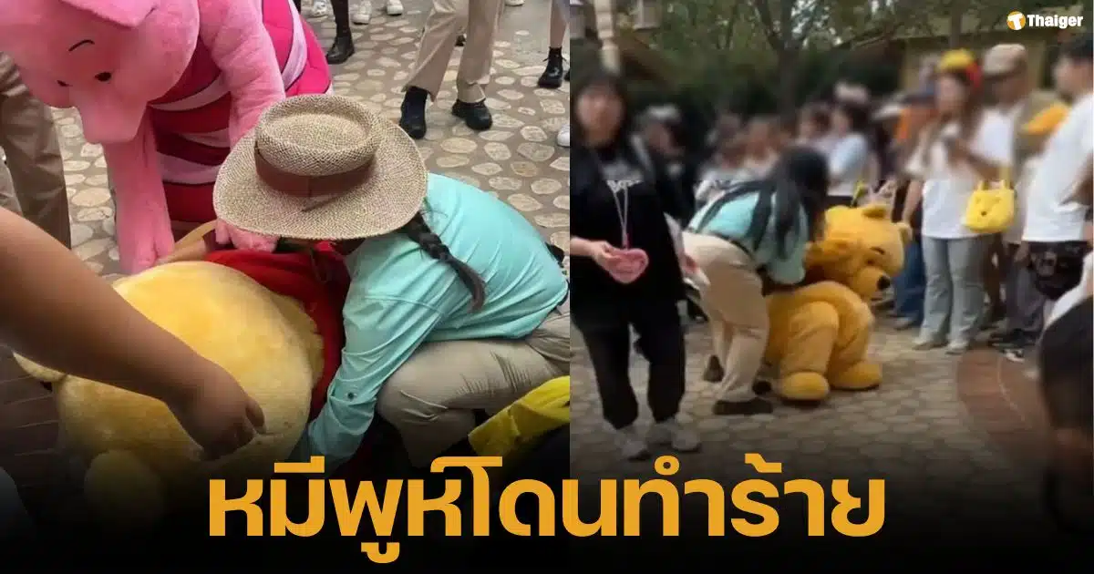 หมีพูห์โดนตบหัว ล้มเจ็บ คลิปไวรัลเดือด ชาวเน็ตจี้เอาผิดมนุษย์ลุง