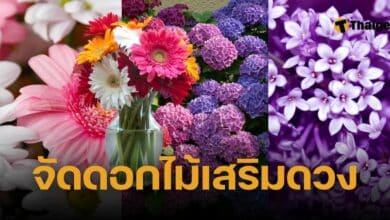 จัดดอกไม้ใส่แจกันเสริมดวง