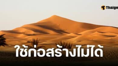 ทำไมใช้ทรายทะเลทรายก่อสร้างไม่ได้