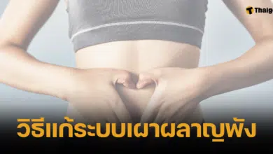 การรักษาอาการระบบเผาผลายพัง เพื่อสุขภาพและหุ่นที่ดี