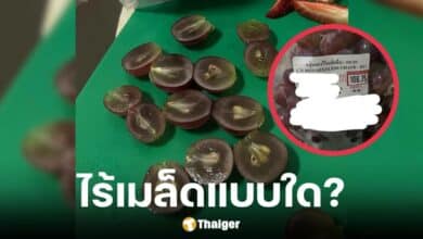 หนุ่มรีวิวองุ่นไร้เมล็ด