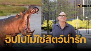 ฮิปโปทำร้ายคน