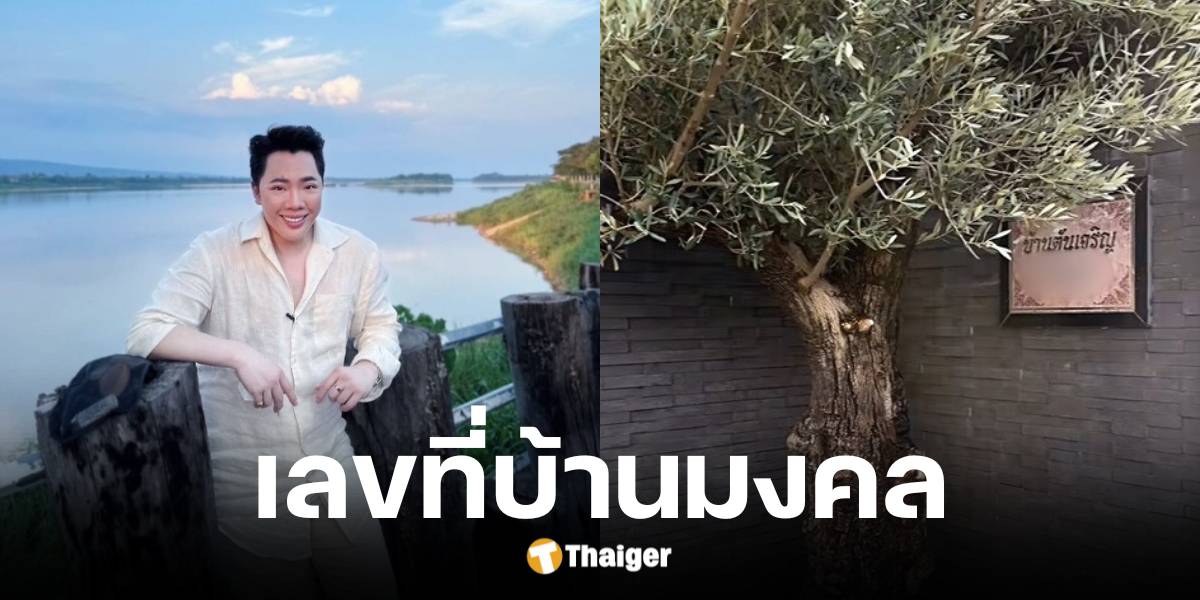 มดดำ อวดต้นไม้มงคล ชาวเน็ตโฟกัสเลขที่บ้าน หวังเลขเด็ดงวดนี้นำโชค | Thaiger ข่าวไทย