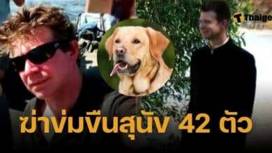 ฆ่าข่มขืนสุนัข 42 ตัว