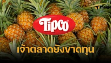 ทิปโก้ประกาศหยุดผลิต จำหน่ายสับปะรดกระป๋อง เหตุขาดทุนต่อเนื่อง