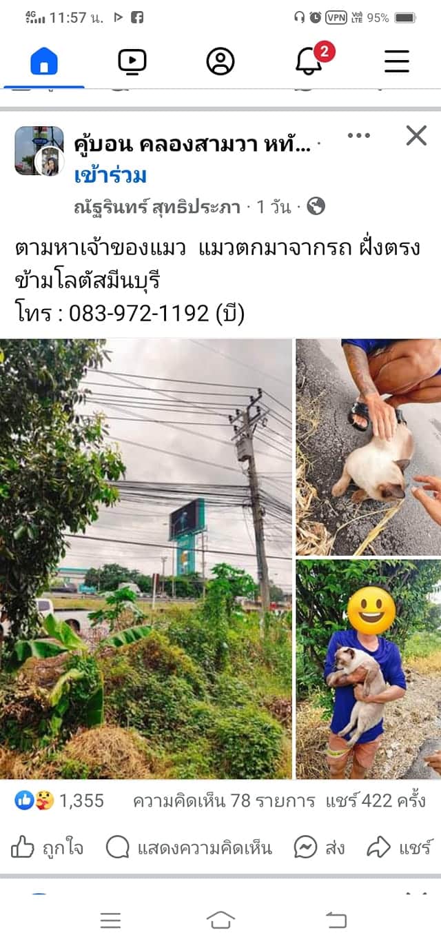 ตามหาเจ้าของแมว มีนบุรี