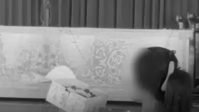 พิษสุนัขบ้า