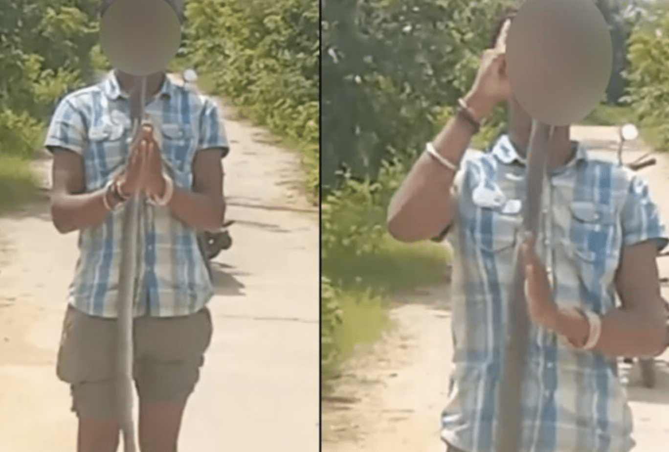 ยัดงูเห่าขนาดใหญ่ ใส่ปาก ก่อนสิ้นใจต่อหน้ากล้อง 