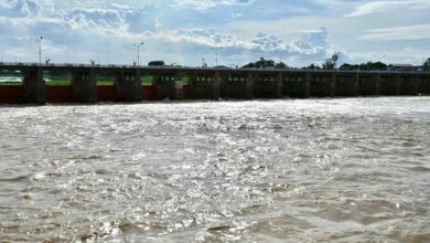 เขื่อนเจ้าพระยา ชัยนาท