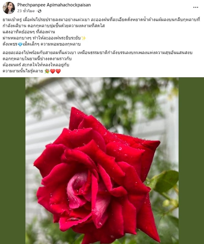 โพสต์ล่าสุด เพชรพันปี