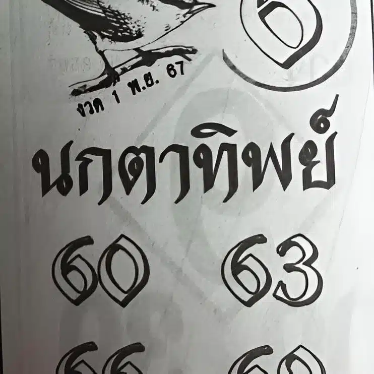 เลขเด็ด นกตาทิพย์ งวดวันที่ 1 พ.ย. 67