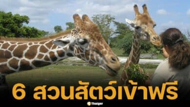 6 สวนสัตว์ เปิดให้เด็ก-สูงอายุ เที่ยวฟรี วันปิยมหาราช 23 ต.ค. นี้