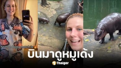 สาวต่างชาติเดินทางมา 18.5 ชั่วโมง เพื่อมาดูหมูเด้ง