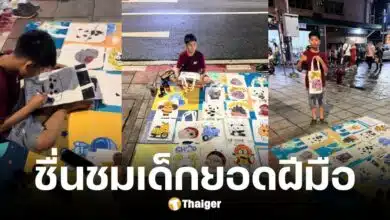 น้องสิงโต เด็ก ป.6 เพ้นท์กระเป๋าขาย เพื่อหารายได้ให้ครอบครัว