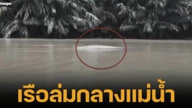 เกิดเหตุเรือโดยสารพลิกคว่ำกลางแม่น้ำเจ้าพระยา ทำให้คนขับเรือ สูญหาย ส่วนผู้โดยสารซึ่งเป็นพนักงานไฟฟ้า 2 ราย ว่ายน้ำหนีรอด คาดคนขับอาจถูกกระแสน้ำพัดร่างไปไกล เจ้าหน้าที่ยังคงเร่งค้นหา