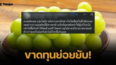 พ่อค้าแม่ค้า "องุ่นไชน์มัส" โอดหนักขายไม่ออก หลังข่าวสารเคมีสะพัดทั่วสังคม