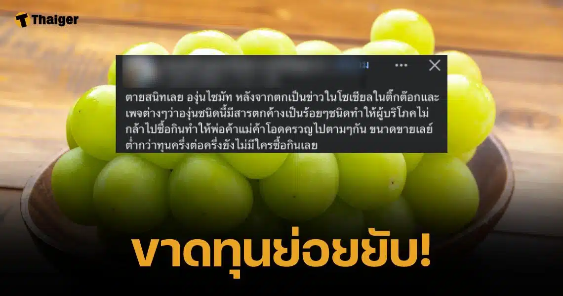 พ่อค้าแม่ค้า "องุ่นไชน์มัส" โอดหนักขายไม่ออก หลังข่าวสารเคมีสะพัดทั่วสังคม