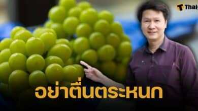 อ.เจษฎา แจงผลตรวจสารตกค้างใน องุ่นไชน์มัสแคท ไม่น่ากังวล หลังผู้บริโภคกลัวจนพ่อค้าแม่ค้าขายไม่ได้