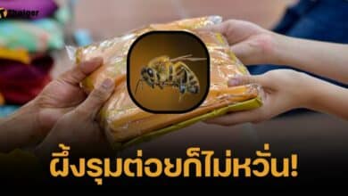 เพื่อบุญสู้ไม่ถอย "รังผึ้งแตก" รุมต่อยขบวนกฐิน ญาติโยมกัดฟันลุยต่อ