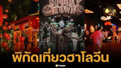 แจกพิกัด เที่ยวฮาโลวีน 2567 รวมครบทุกแนว ไปไหนดีเช็กเลย