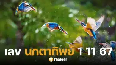 ส่องเลขเด็ด 'นกตาทิพย์' แจกแนวทางเลขสองตัว ฉบับวิหคเนตรวิเศษ 1 พ.ย. 67