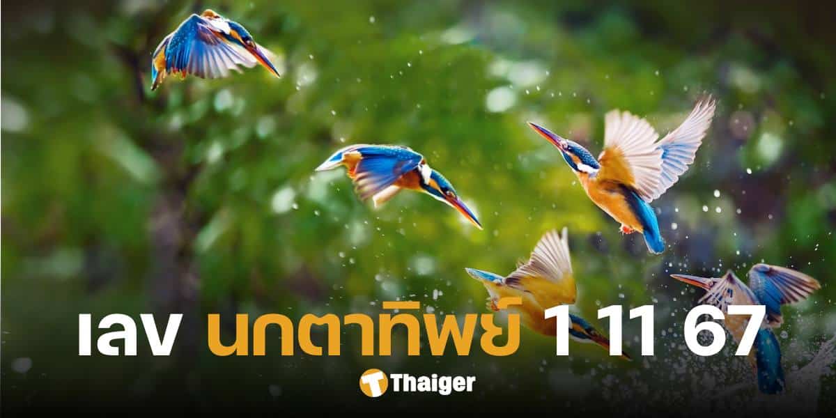 ส่องเลขเด็ด 'นกตาทิพย์' แจกแนวทางเลขสองตัว ฉบับวิหคเนตรวิเศษ 1 พ.ย. 67