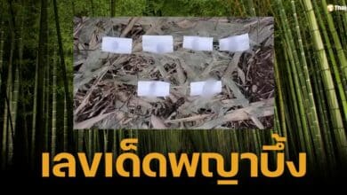 ส่องเลขเด็ดพญาบึ้ง รูใหม่ คาบเลขอะไรออกมาบ้าง ลุ้นโชคงวด 1/10/67