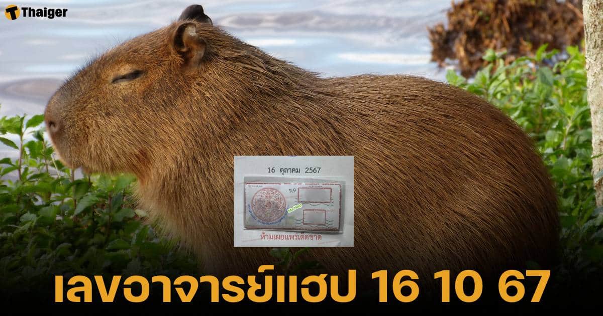 เลขเด็ด งวด 16 ต.ค. 67 เปิดโพยลับ สำนัก อาจาร์แฮป | Thaiger ข่าวไทย