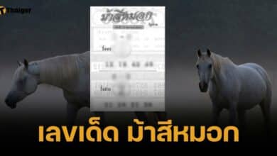 เลขเด็ด ม้าสีหมอก 16 ต.ค. 67 สูตรเลขท้ายสองตัวสุดพิสดารเมฆาอัคคี